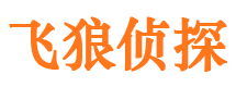 浪卡子市婚姻出轨调查